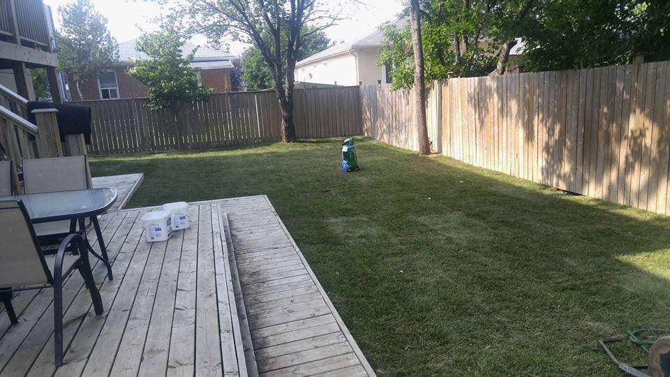 Benefits of Sod Installation Scarborough
