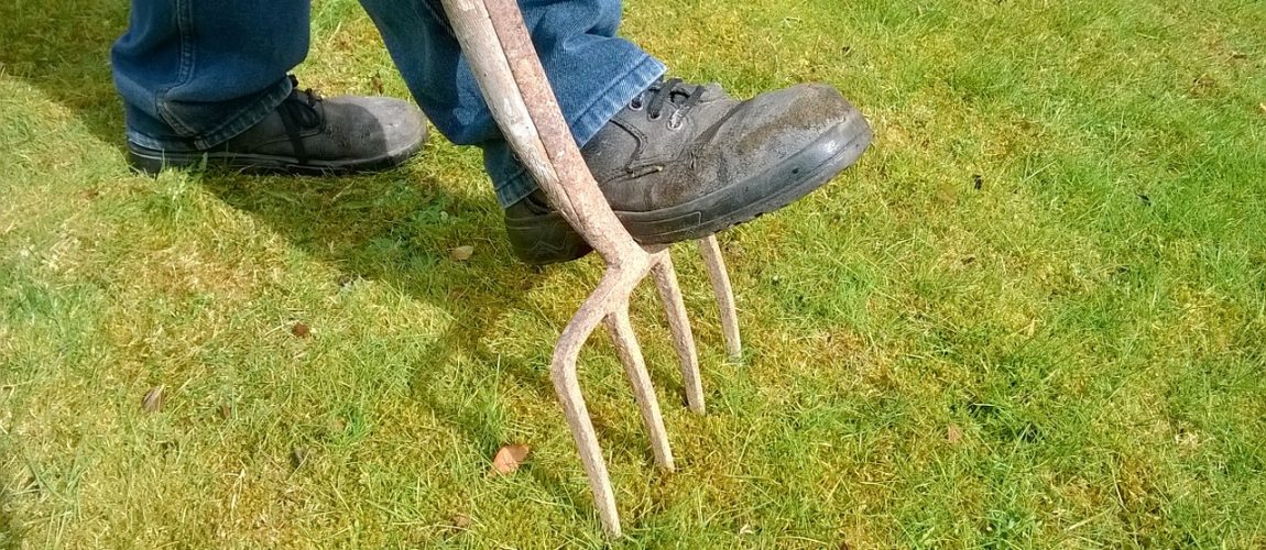 lawn aeration services