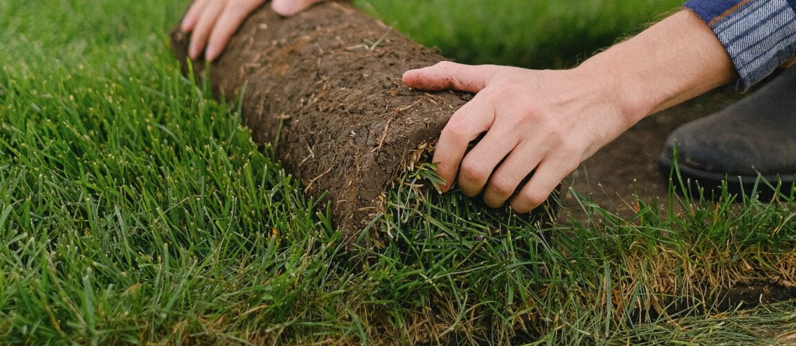 Sod installation services in Toronto