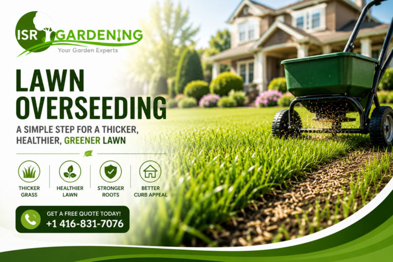 Lawn Overseeding Markham | Thick & Healthy Lawn Services