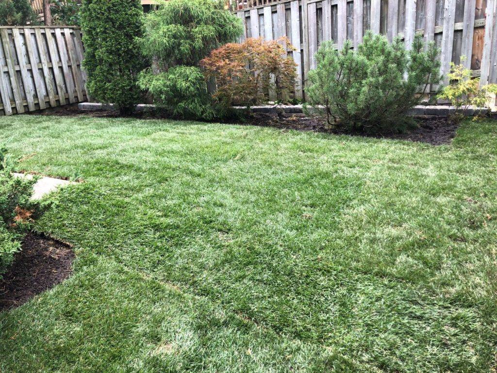 Lawn Aeration Services by ISR Gardening Inc