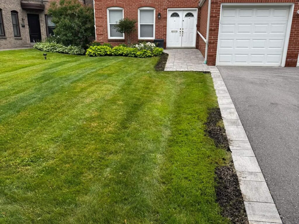 Thick green fertilized lawn with a clean mulch edge, maintained by ISR Gardening in Toronto
