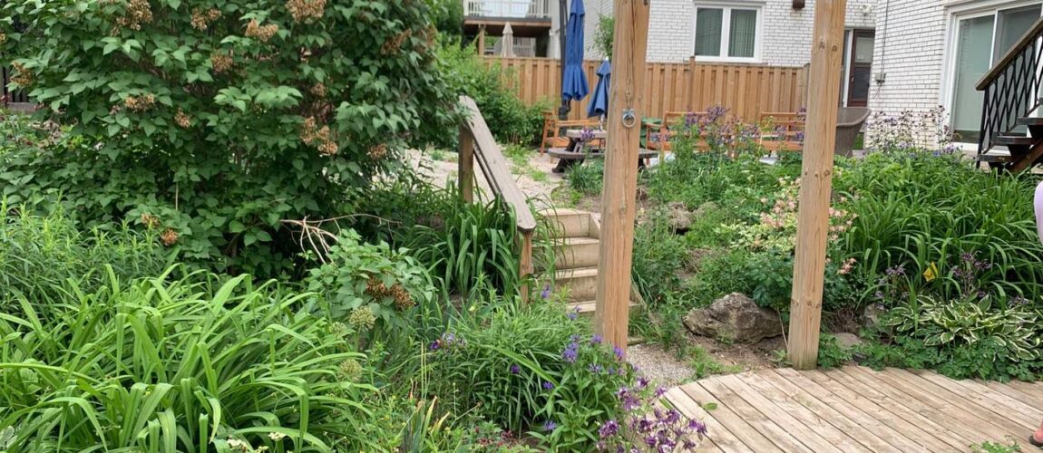 How To Choose A Commercial Landscaping Company - ISR Gardening Inc