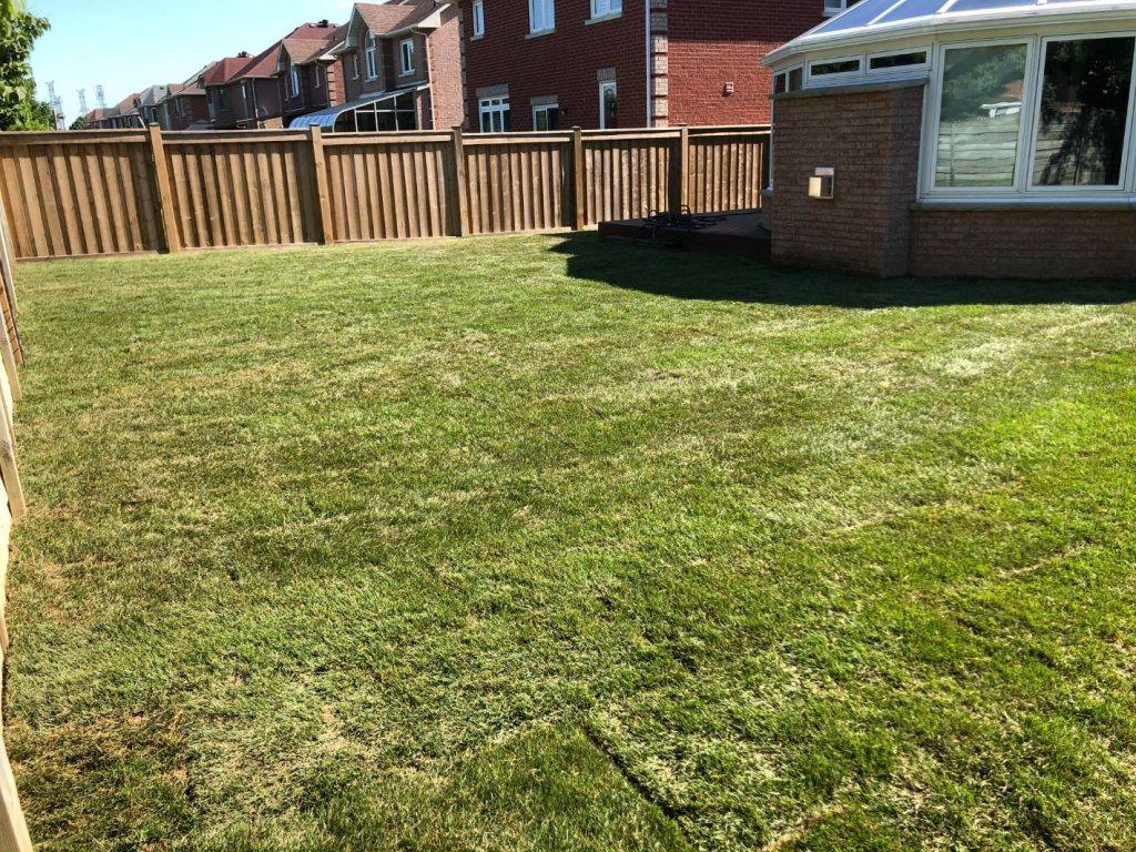 Residential Sodding Services