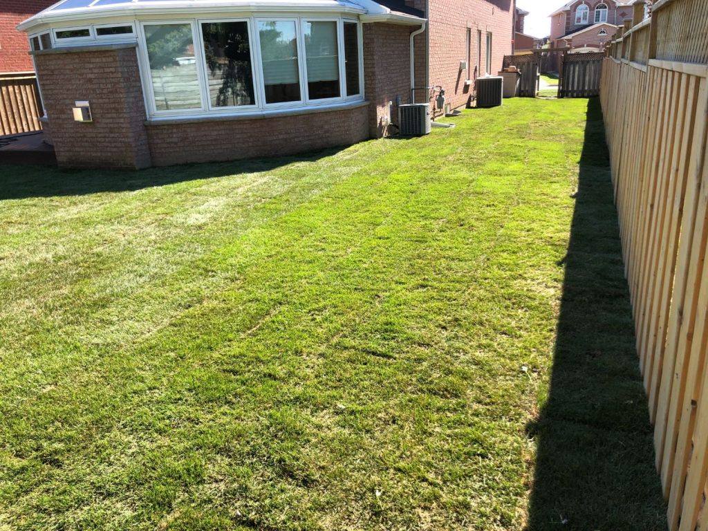 After Lawn Fertilizer Service by ISR Gardening Services Toronto