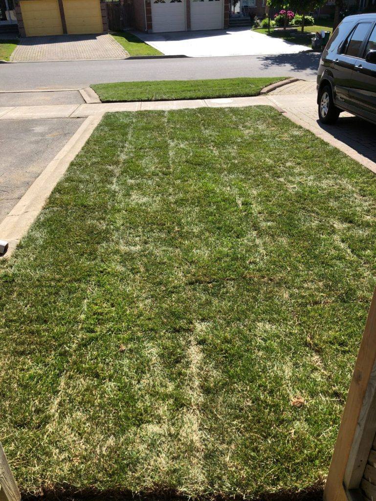 ISR Gardening Services Toronto