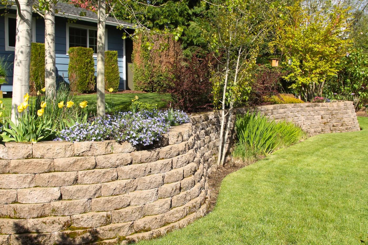 Natural Stone Walls