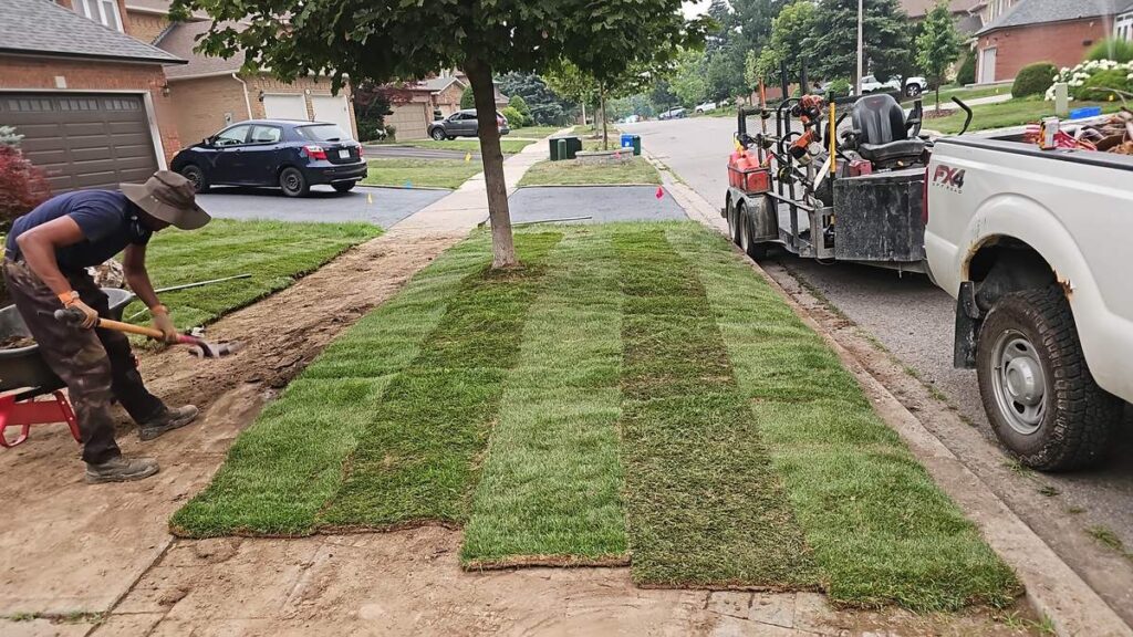 ISR Gardening crew laying fresh sod on a Richmond Hill front lawn