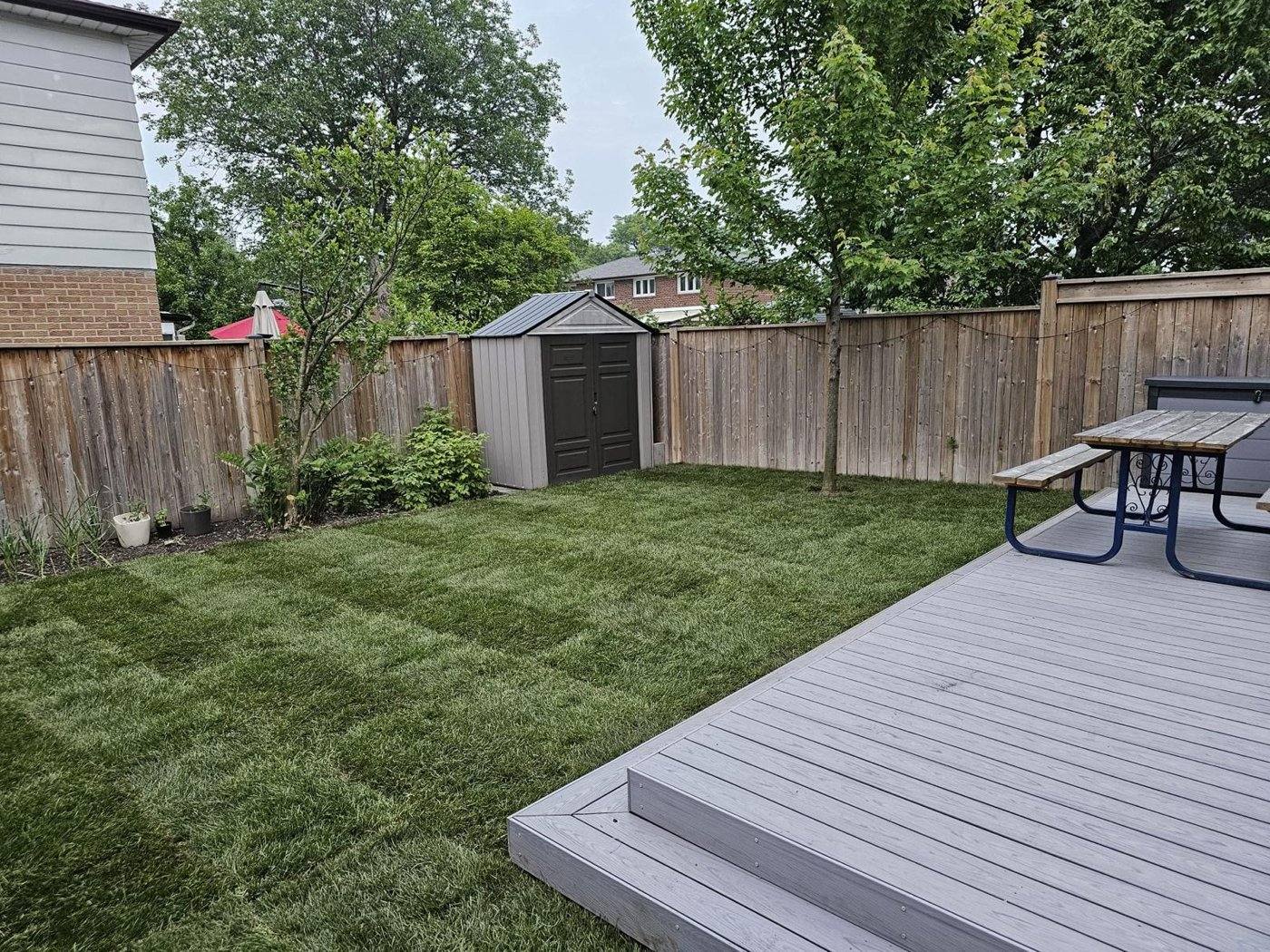 Fresh sod installed by ISR Gardening in a Vaughan backyard