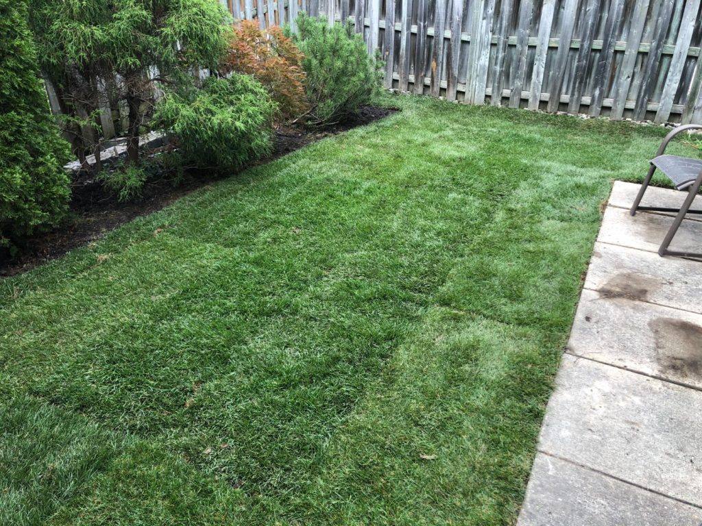 Lawn Mowing Toronto