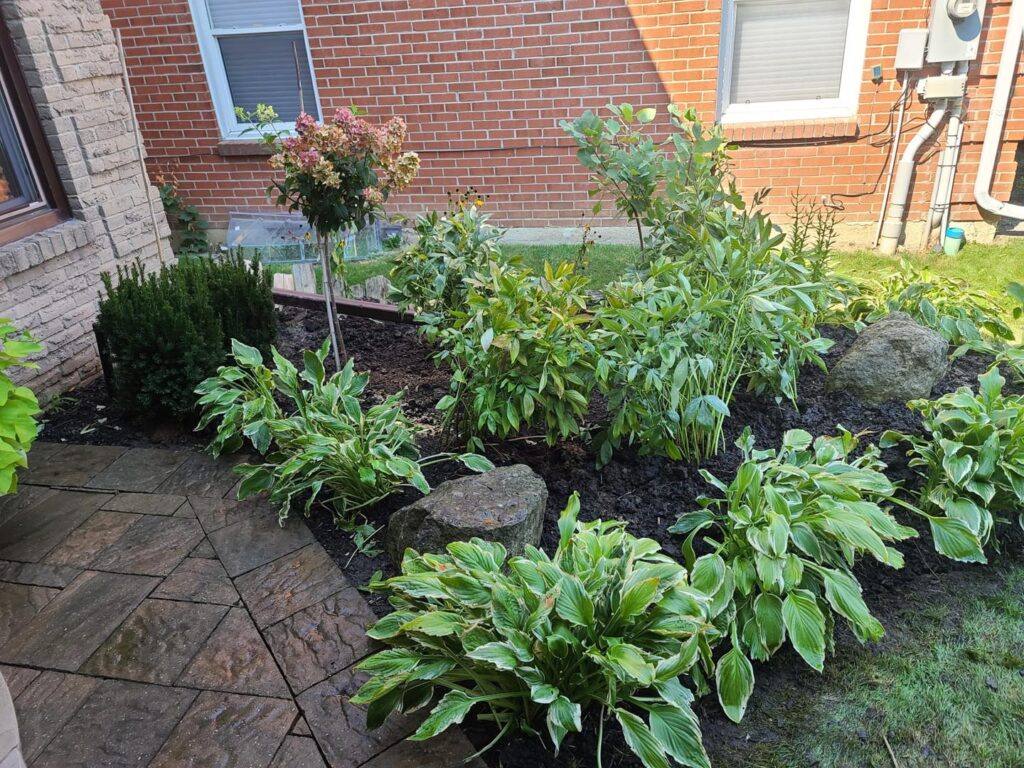 Sustainable Landscaping on a Budget: Green Solutions for Toronto Homeowners - ISR Gardening Inc