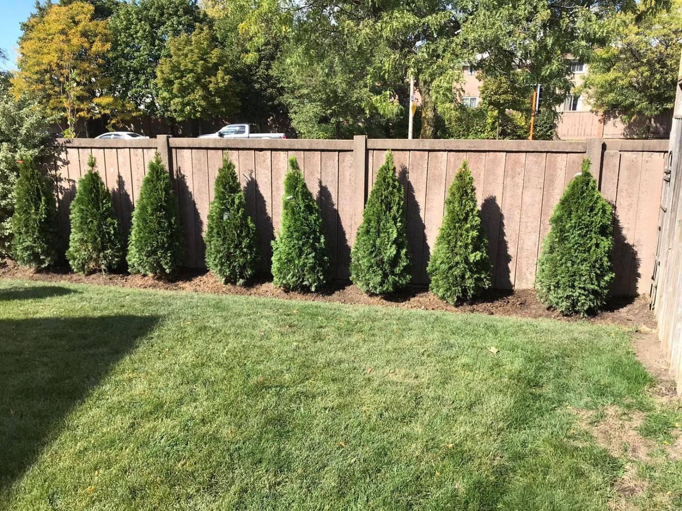 The Best Time to Aerate a Lawn - ISR Gardening Inc