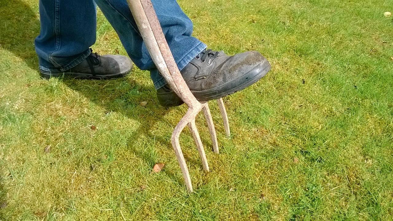 lawn aeration services