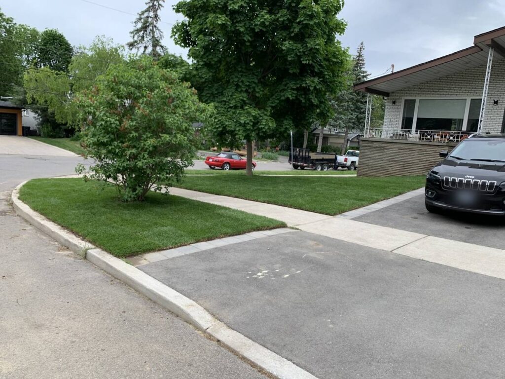 Corner-lot front yard after new sod installation in North York