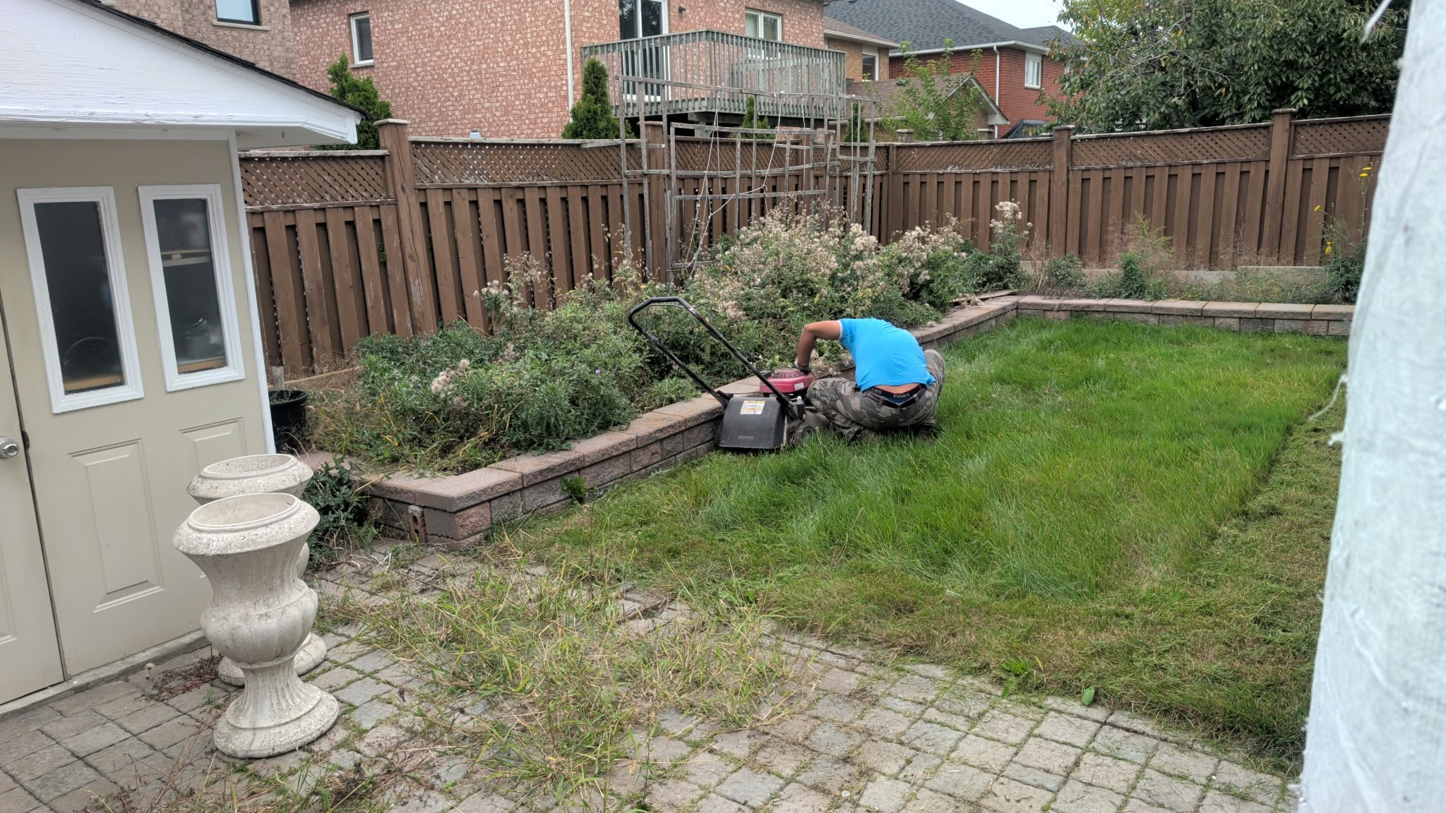 ISR Gardening crew cutting back an overgrown garden bed and mowing the lawn during a yard cleanup
